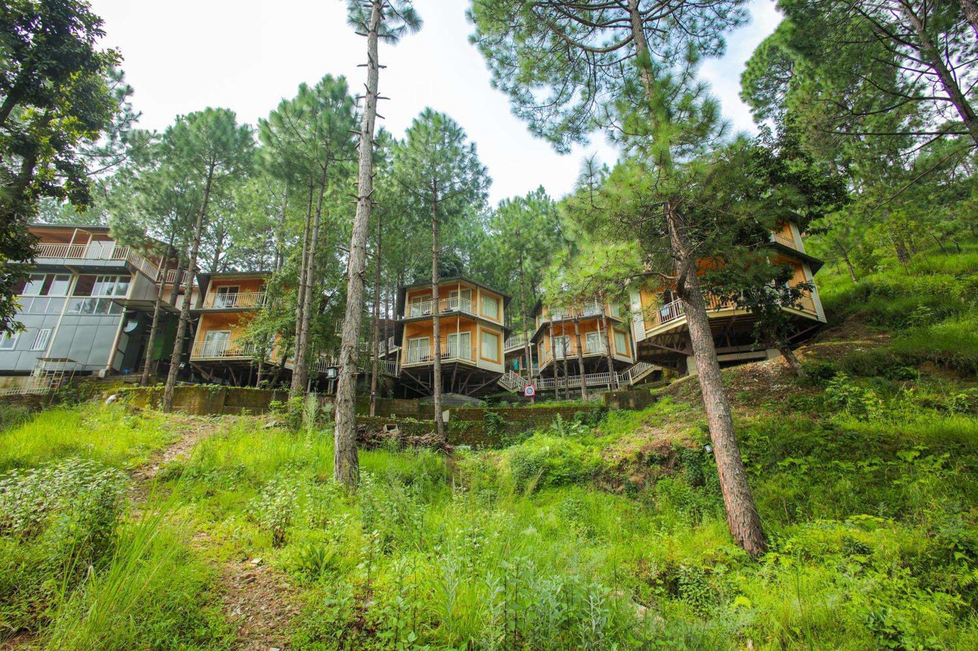 The Woods Retreat Otel Lansdowne Dış mekan fotoğraf