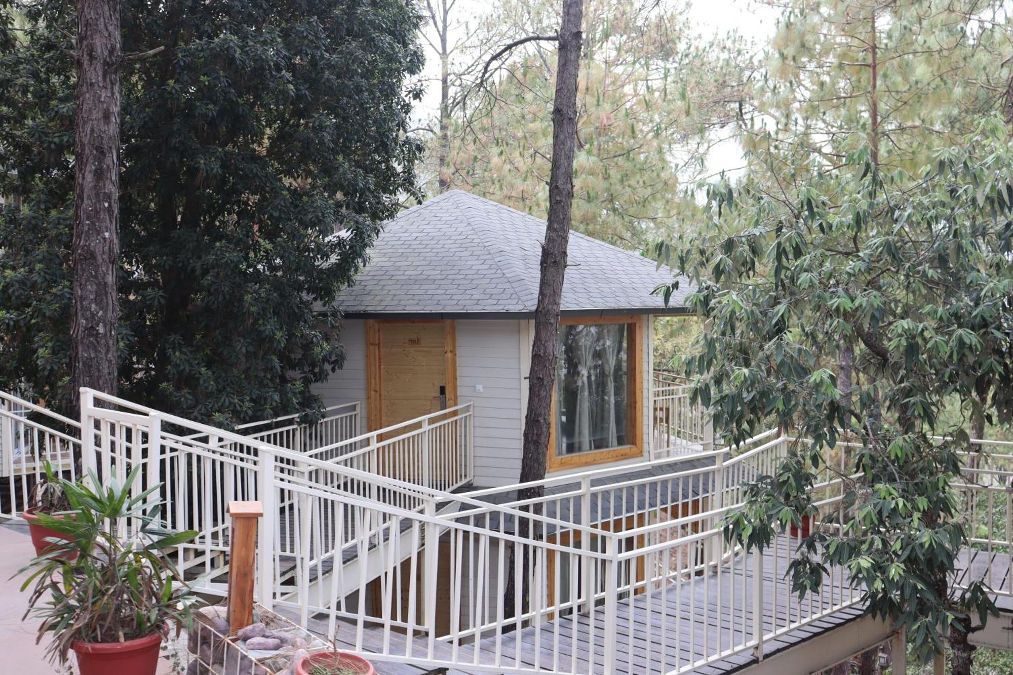 The Woods Retreat Otel Lansdowne Dış mekan fotoğraf